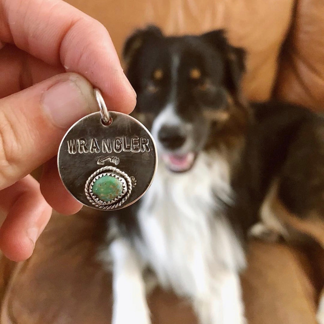Furry Friend Tag